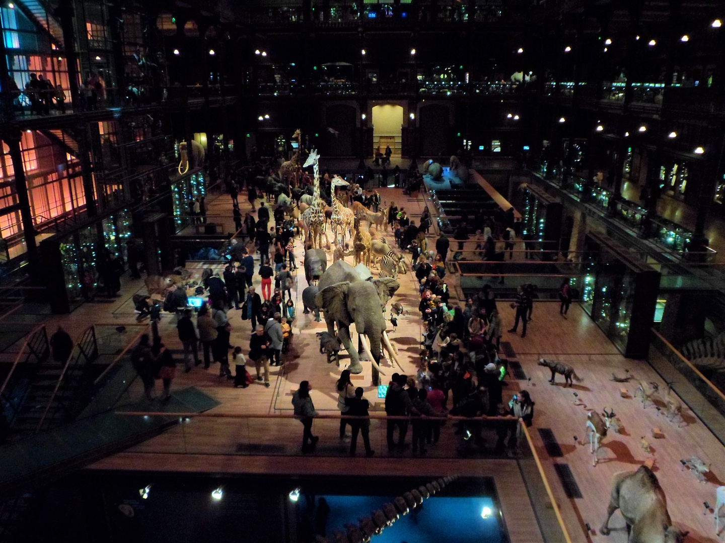 Musée d'Histoire Naturelle à PARIS