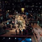 Musée d'Histoire Naturelle à PARIS