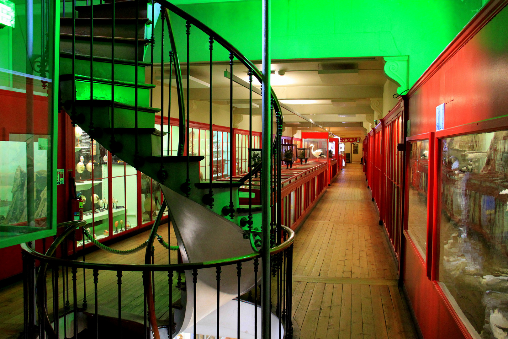 Musée d'histoire naturelle de Rouen (1)