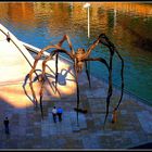 MUSEE -GUGGENHEIM - BILBAO - 6 -