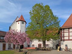 Museen im Alten Schloss