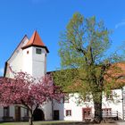 Museen im Schloss