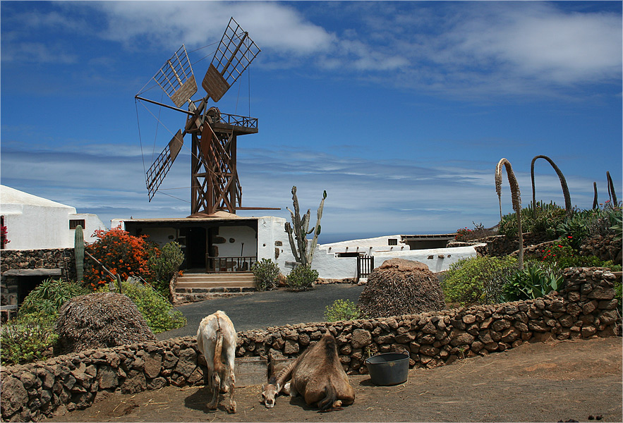 Museo Agricola