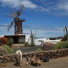 Museo Agricola