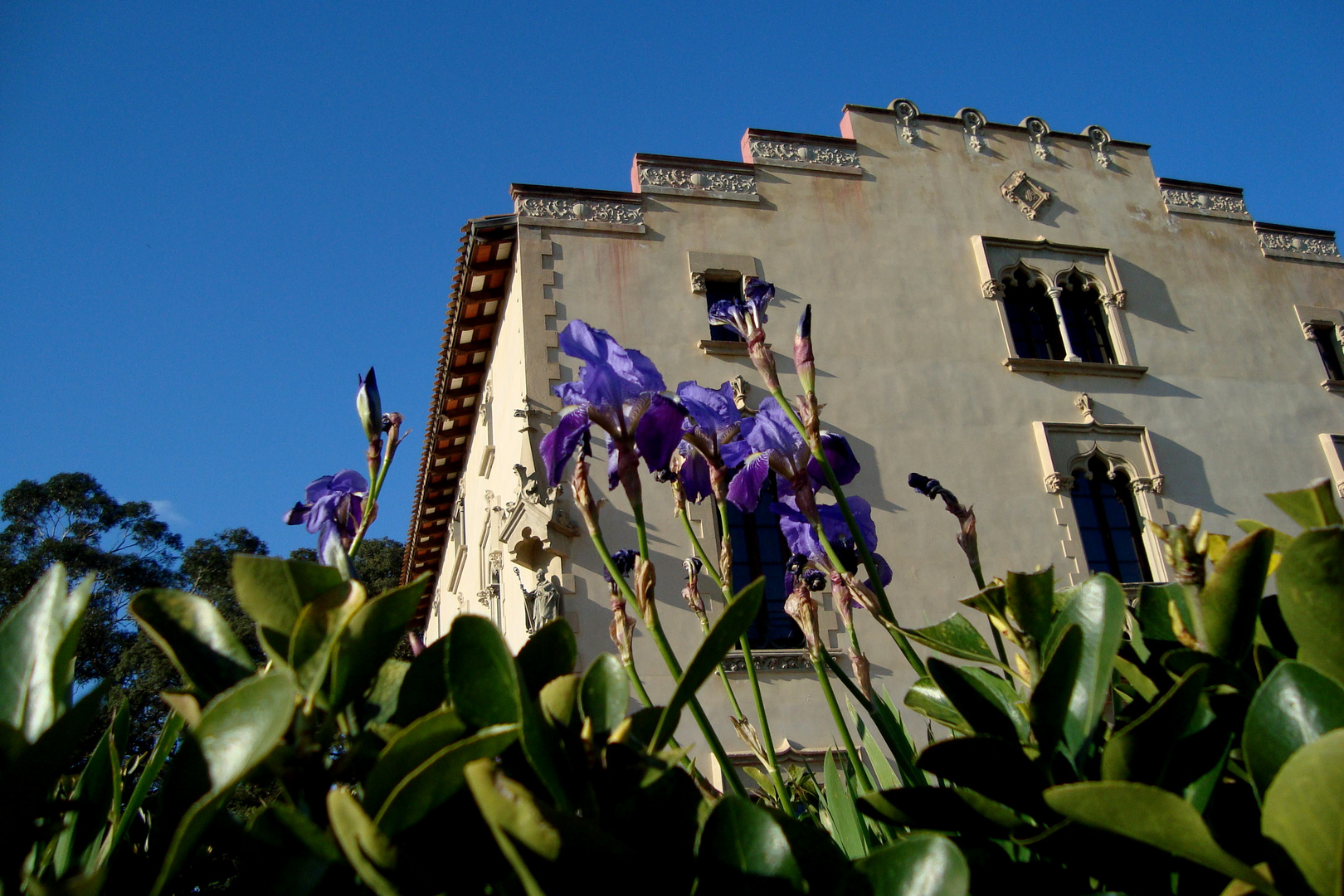 Museo can Saragossa