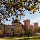 Museo de bellas artes