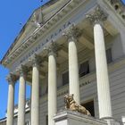 Museo de Ciencias Naturales UNLP, La Plata