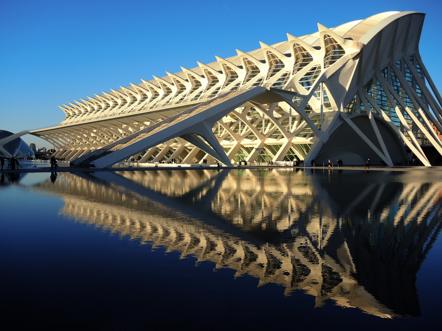 Museo de las Ciencias 