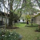 MUSEO DE TEMPERANCIA CUENCA ECUADOR