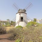 Museo del Queso Majorero 