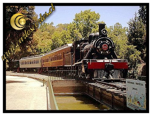 Museo del Tren