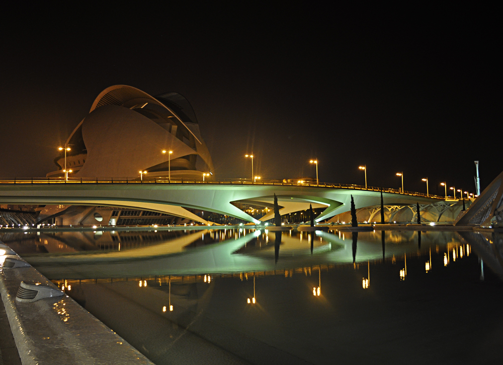 Museo Della Scienza Valencia