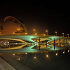 Museo Della Scienza Valencia