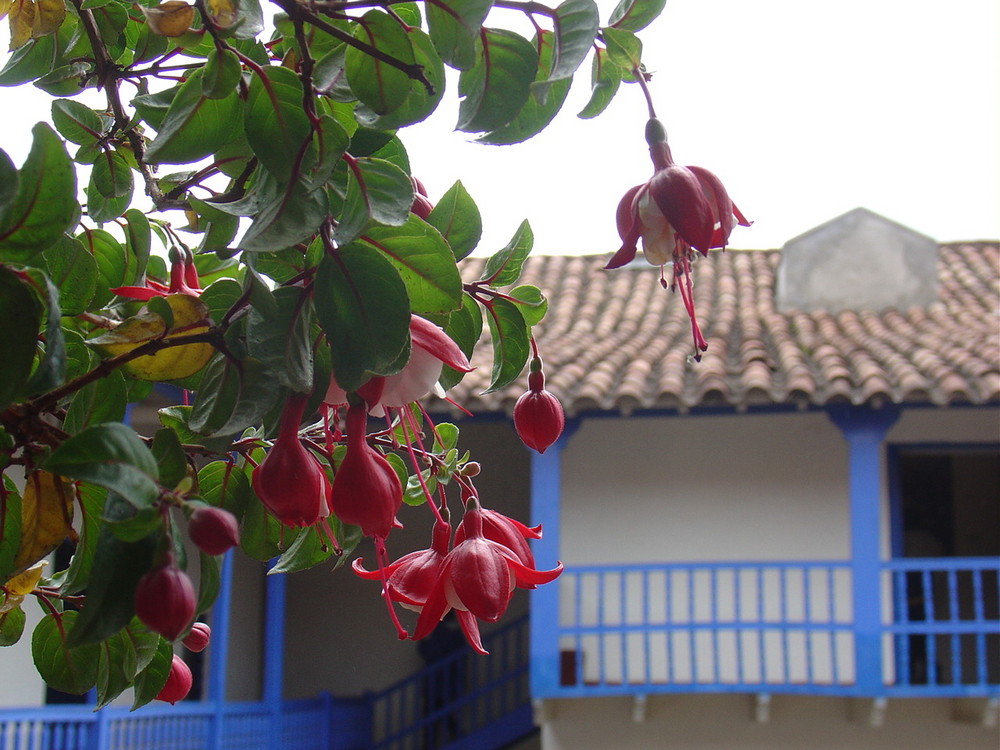 Museo Histórico Regional - Casa Inca Garcilaso de la Vega