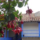 Museo Histórico Regional - Casa Inca Garcilaso de la Vega