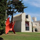 Museo Miro