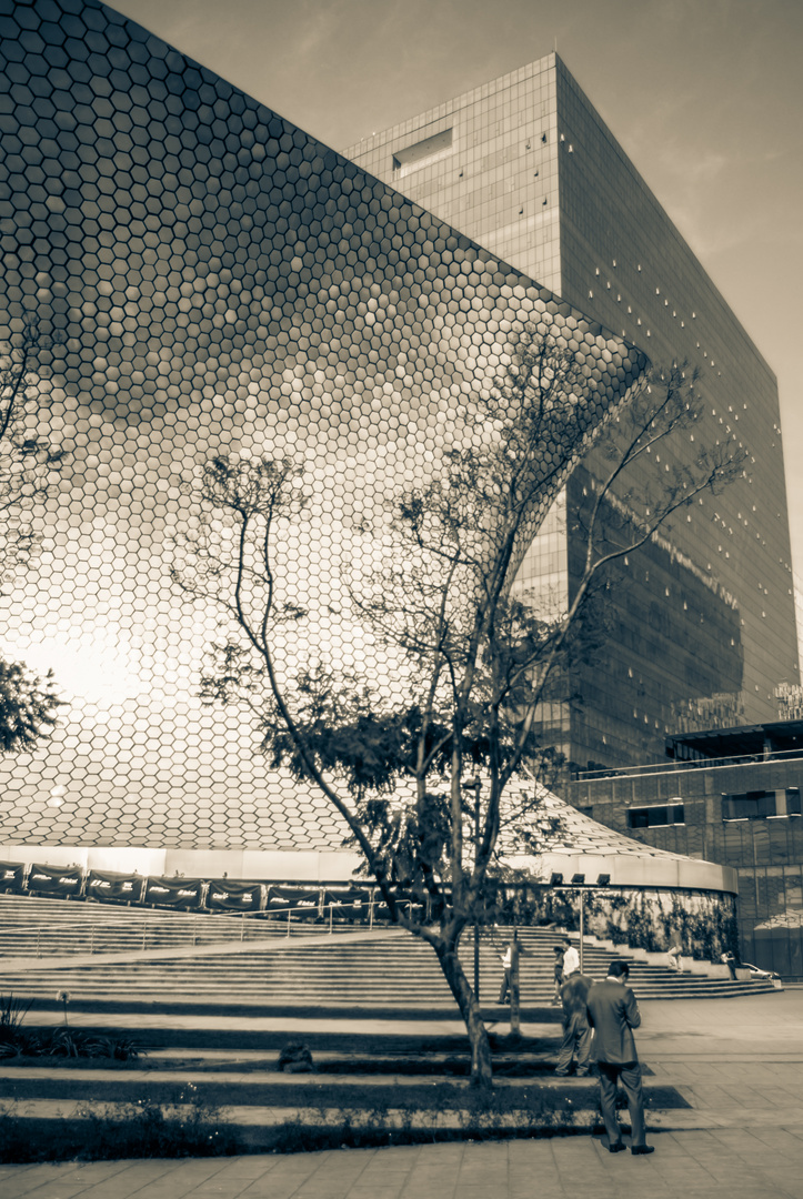 Museo Soumaya b/w