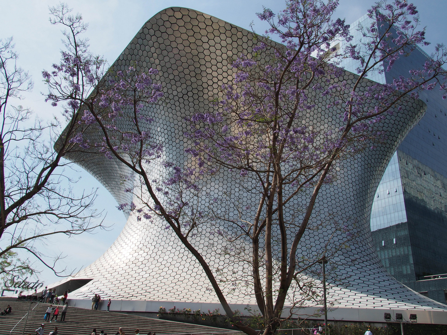 Museo Soumaya I