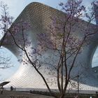 Museo Soumaya I