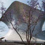 Museo Soumaya I