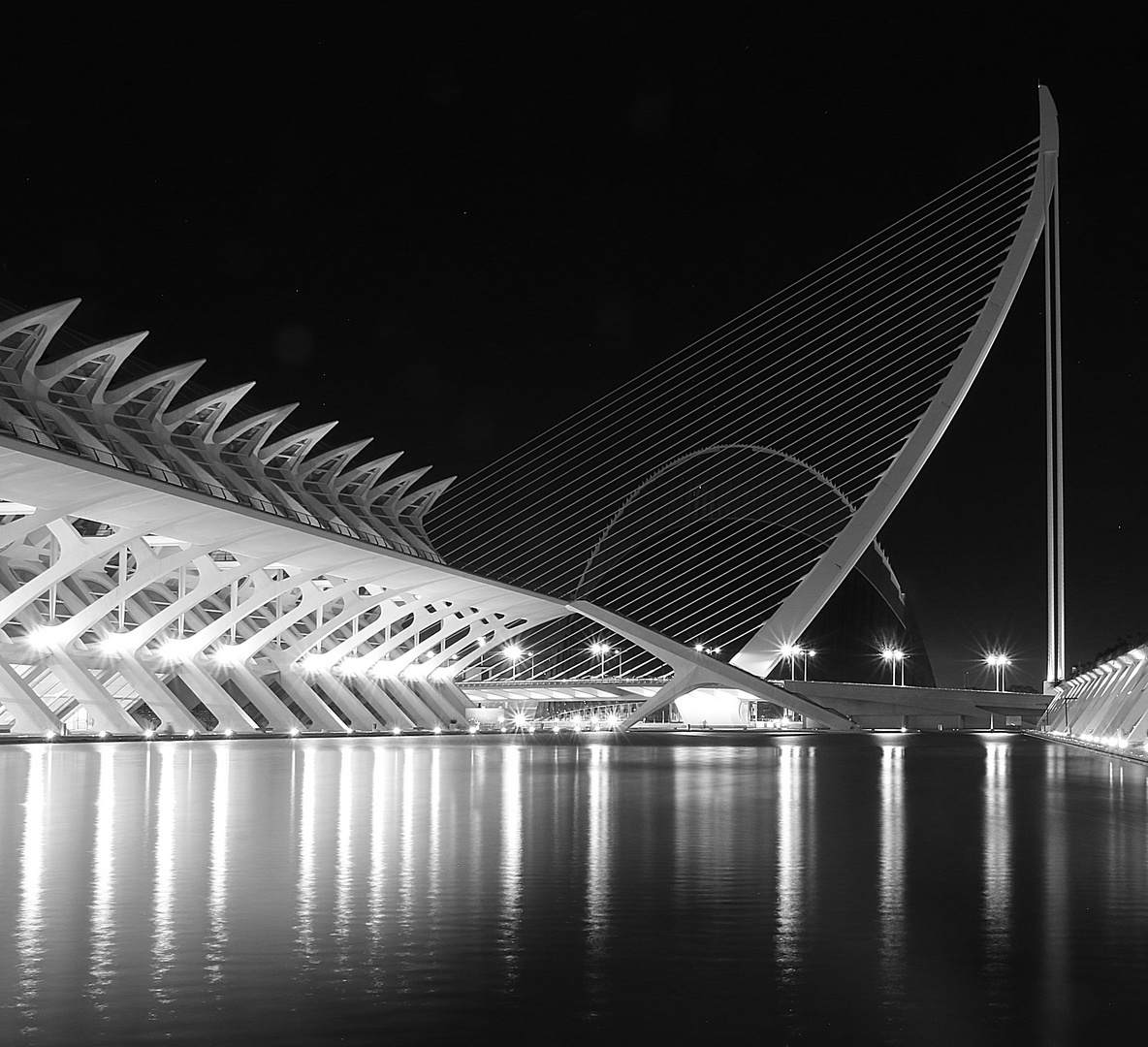 Museu de les CìenciesPrincipe Felipe und Assut de l'Or -Brücke