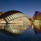 Museu de les Ciències de València