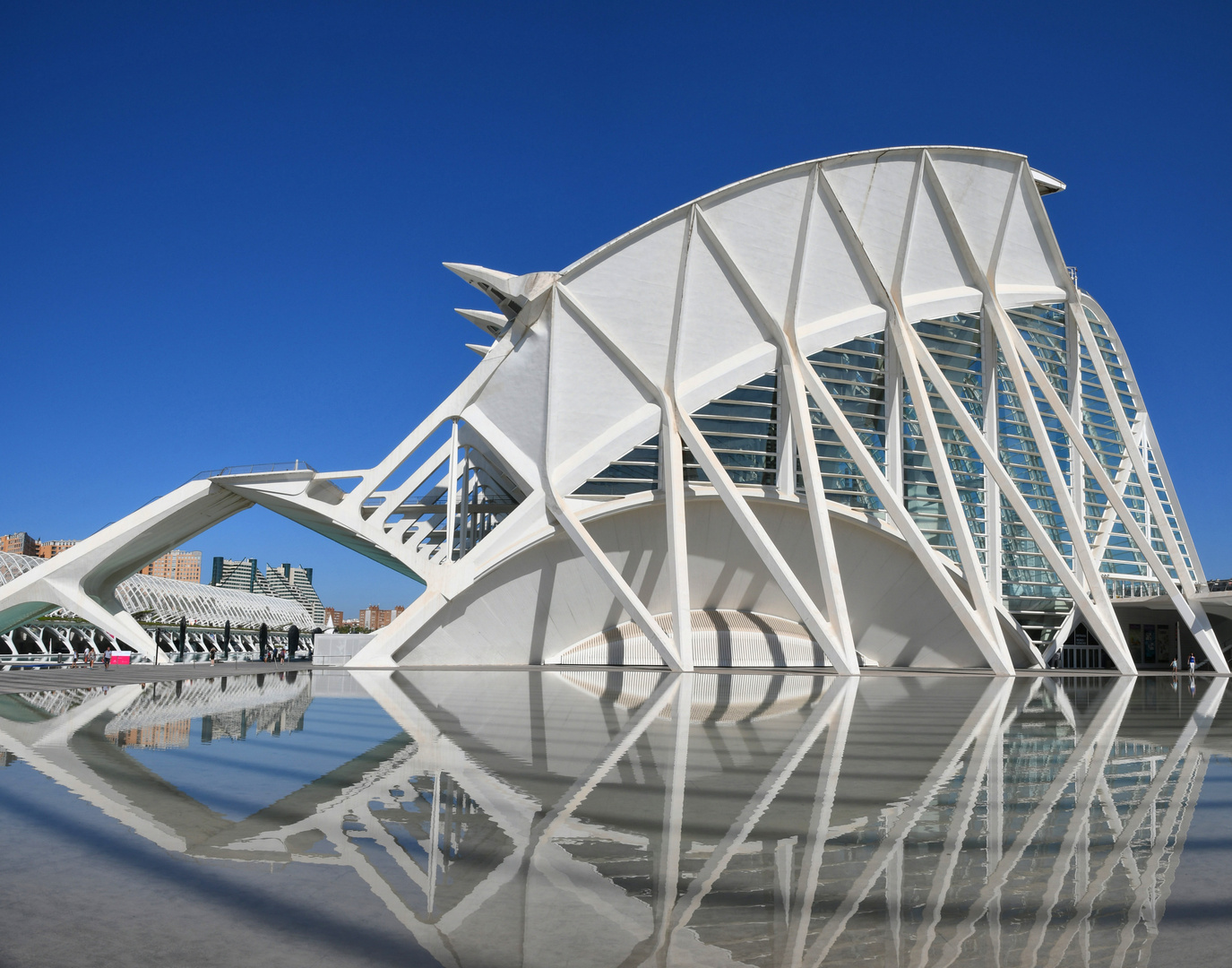 Museu de les Ciències