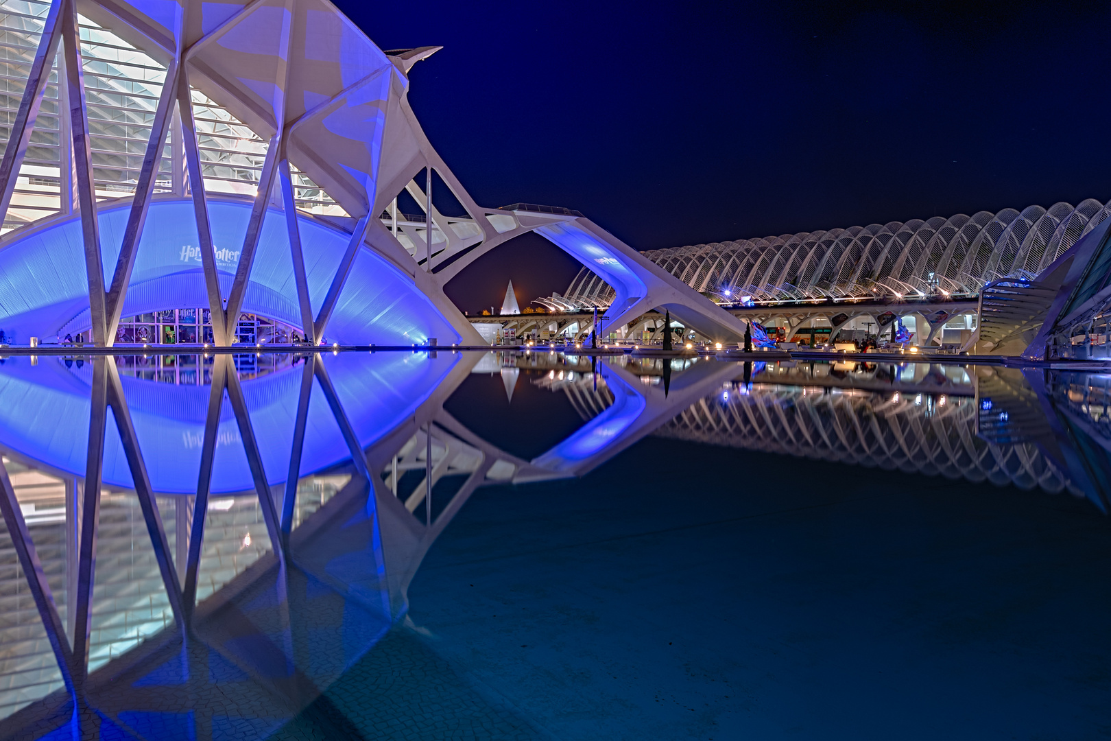 Museu de les Ciències Príncep Felip und L’Umbracle