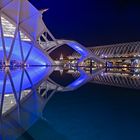 Museu de les Ciències Príncep Felip und L’Umbracle