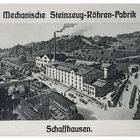 Museum Allerheiligen, Schaffhausen, V