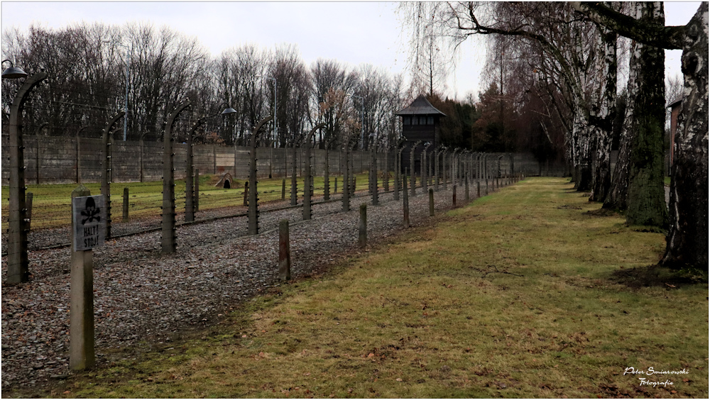 Museum Auschwitz