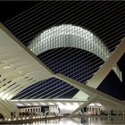 Museum, Bridge and L'Agora