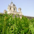 Muséum d'histoire naturelle