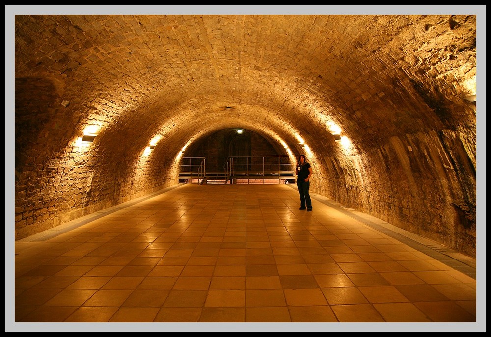 Museum Festung Dresden 1