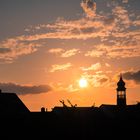 Museum im Schatten