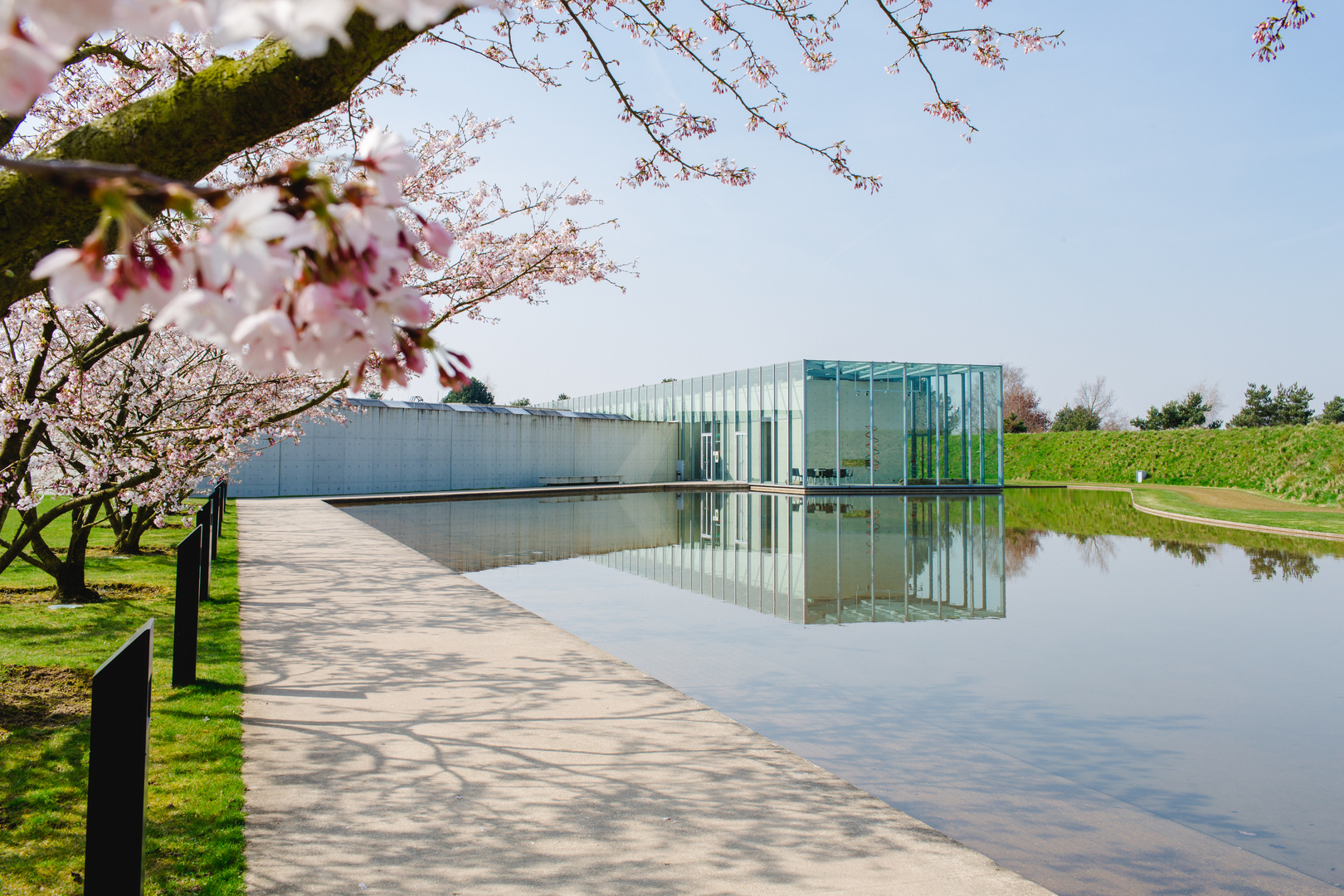 Museum in der Blüte