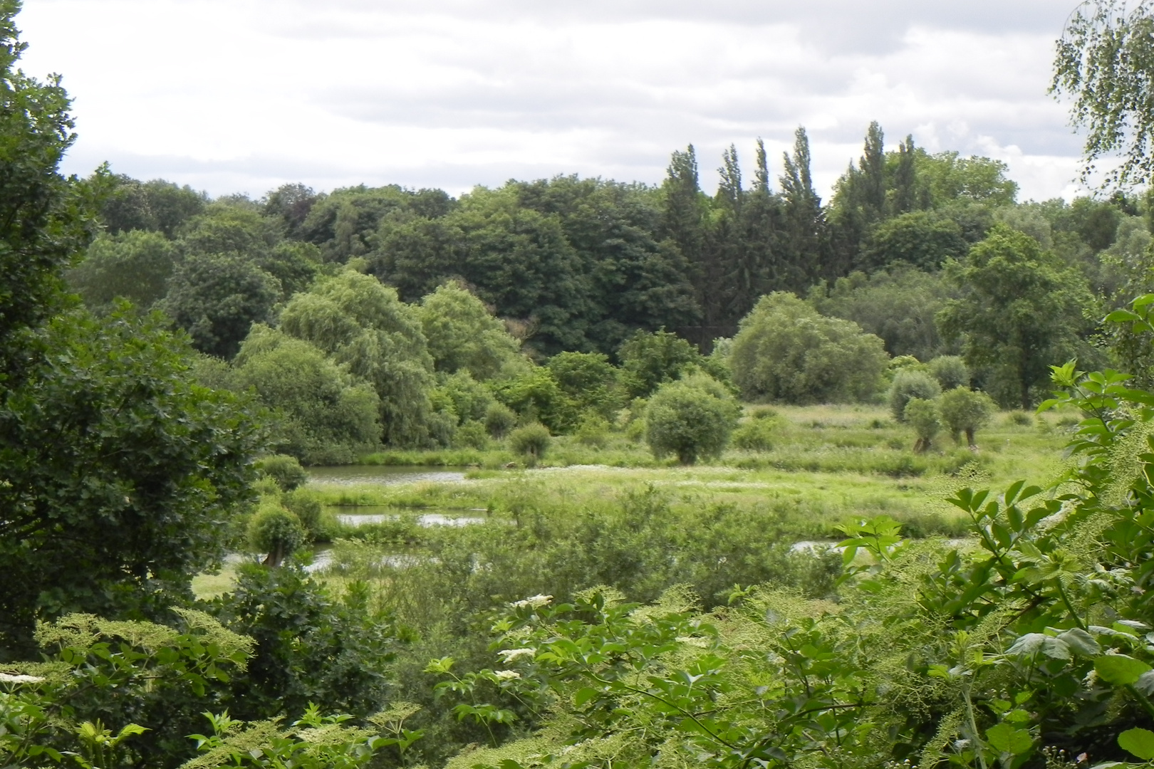 33+ Insel Teich, Erfahren sie in unserem umfangreichen artikel, warum