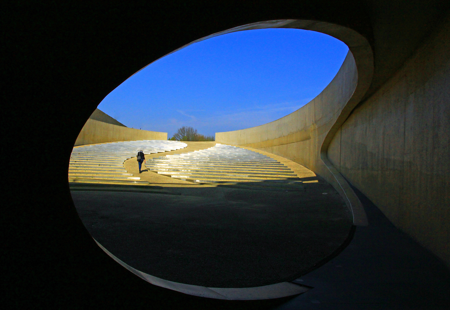 Museum under the bridge