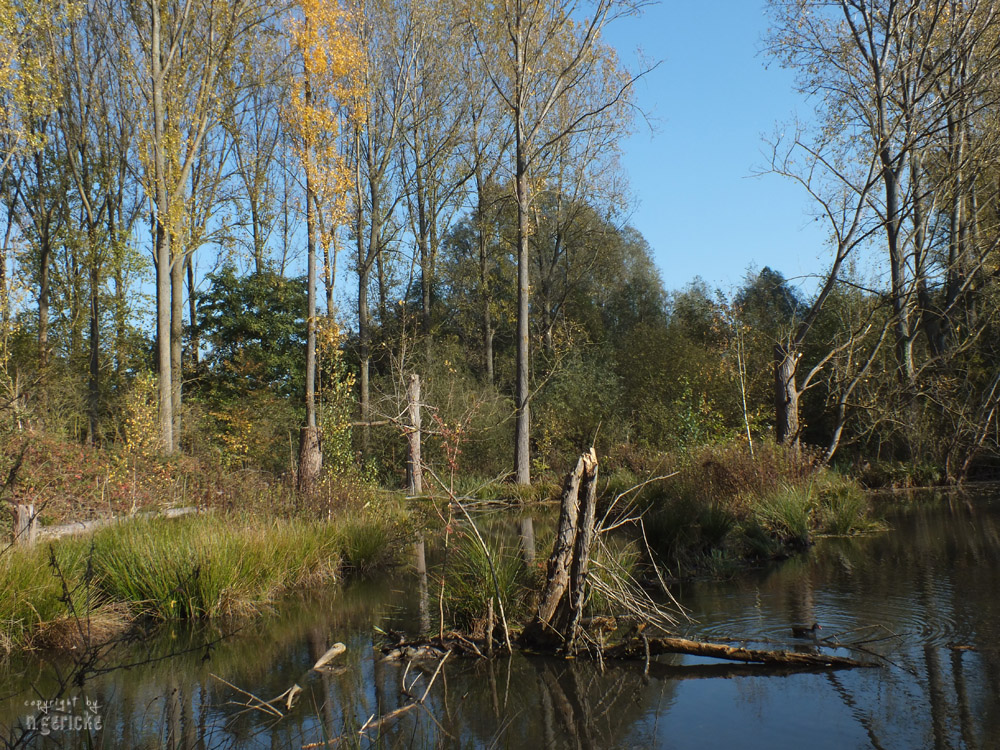 Museuminsel Hombroich