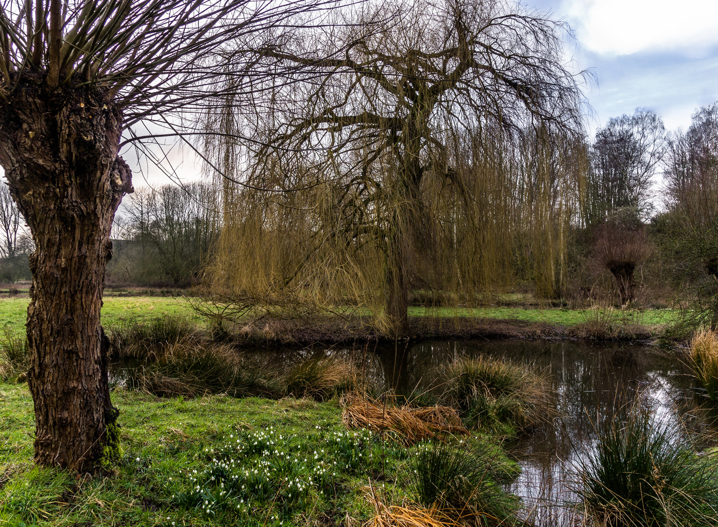 Museuminsel Hombroich