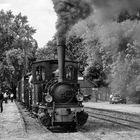 Museumsbahn Bruchhausen Vilsen Franzburg