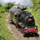 Museumsbahn Ebermannstadt-Behringersmühle