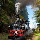 Museumsbahn Schönheide