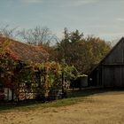 Museumsdorf Niedersulz