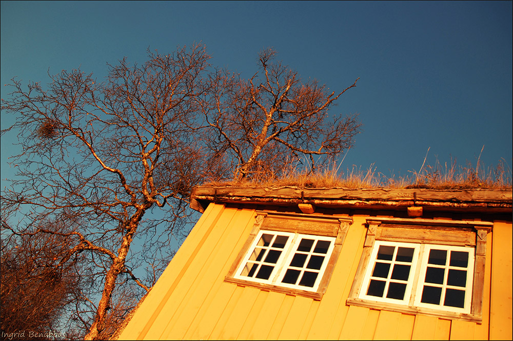 Museumsdorf Tromsø