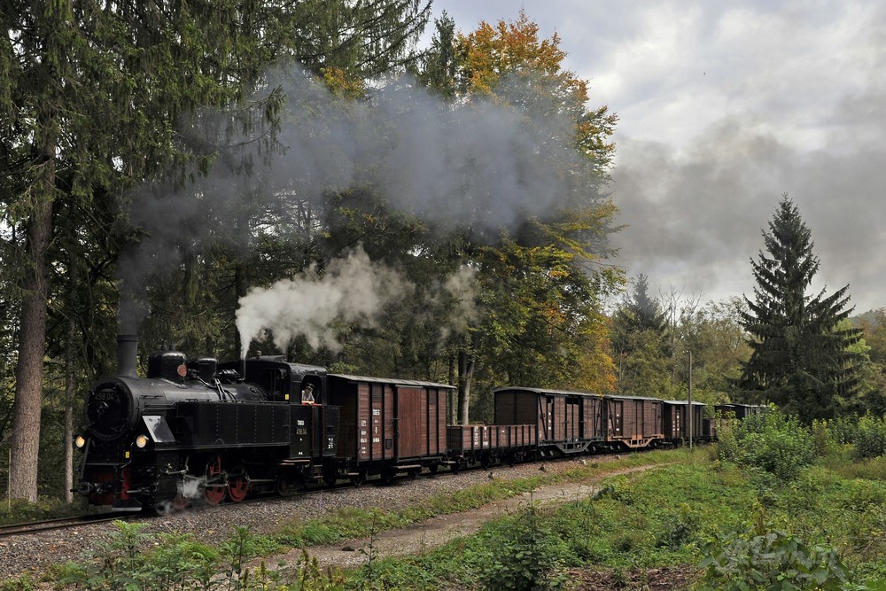 Museumsgüterzug auf der Steyrtalbahn