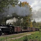 Museumsgüterzug auf der Steyrtalbahn