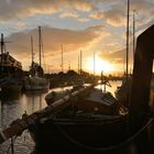 Museumshafen Greifswald im Morgenlicht