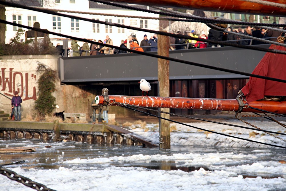 Museumshafen im Winter