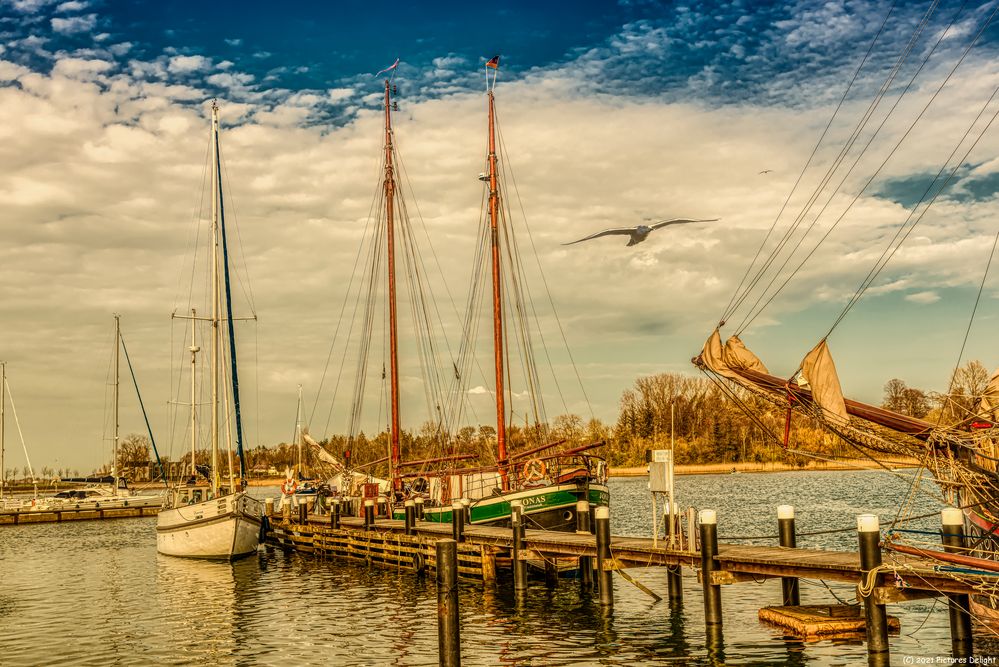 - Museumshafen Kappeln 2 -